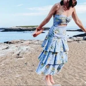 Amur roxy dress hotsell